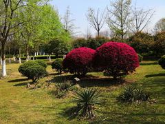 -白塘生态植物园