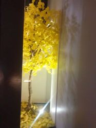 点击看大图 -美壹生诊所皮肤管理中心·海菲秀&Legacy美白舱