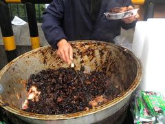 -马文章胖子甑糕(洒金桥店)