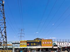 -中环花鸟鱼虫市场