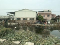 -伟记牛蹄(道滘店)