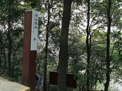 -羚羊峡古栈道森林公园