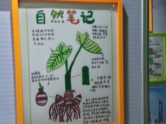 -上海昆虫博物馆