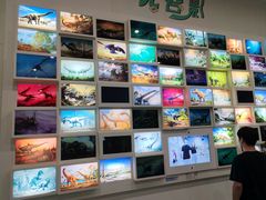 -安徽省地质博物馆