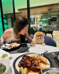 -Vera Wang婚纱礼服旗舰店