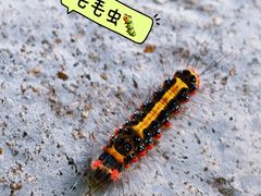 -西安祥峪森林公园