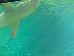 -北戴河圣蓝海洋公园