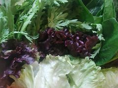 -蝎王府羊蝎子(虎坊桥总店)