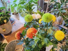 -dotcom coffee古点咖啡(致真大厦店)