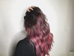 -SALON V