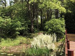 -上海滨江森林公园