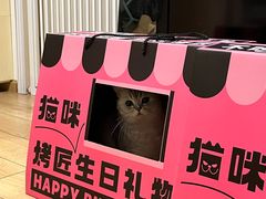 -烤匠麻辣烤鱼(万象城店)