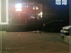 -D STAR COFFEE帝星咖啡