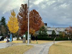 -金泽21世纪美术馆