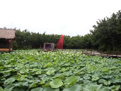 -茂德公草堂
