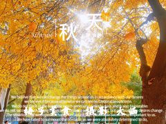 -好利来(槐中店)