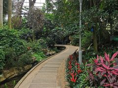 -南山植物园