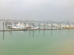 -五缘湾游艇帆船俱乐部