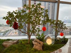 -深圳芙必优医疗美容·抗衰中心