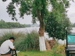 -东湖落雁景区