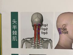 -通透堂中医·精准推拿(旗舰店)