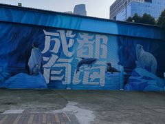 -海合安成都极地海洋公园