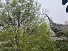 -南普公园