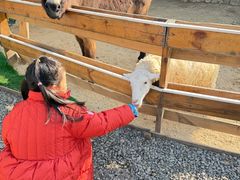 -HERRE·FARM 赫尔露营农场·团建聚会包场