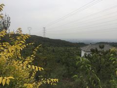 -五龙城郊森林公园
