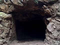 -上海佘山国家森林公园天马山园