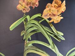 -北京植物园-展览温室