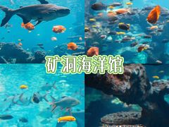 -长鹿旅游休博园