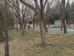 -元大都城垣遗址公园