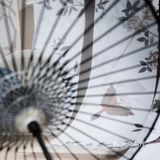 看尽世间繁华许你来世今生 🎆