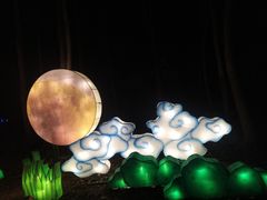 -昆山城市生态森林公园