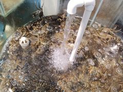 -仙螺岛海鲜自助餐厅(总店)