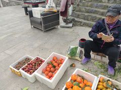 -阳台山自然风景区