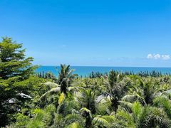 -海南清水湾莱佛士酒店