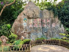 -西双版纳原始森林公园