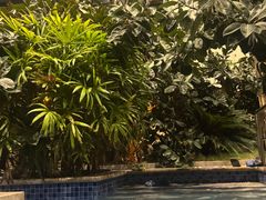 -大盘山温泉山庄