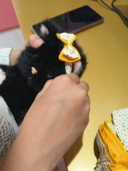 -TeddyTales莉娜熊(国贸店)