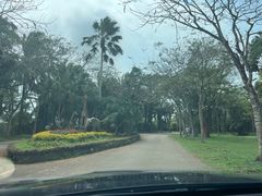 -海南热带野生动植物园