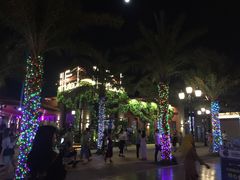 -三亚海昌梦幻海洋不夜城