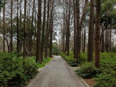 -上海滨江森林公园