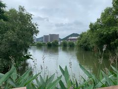 -长兴太湖图影湿地文化园
