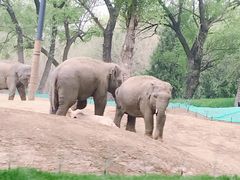 -北京野生动物园