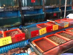 水产区-田水湾•六尺巷(东方蓝海店)