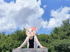 -王顺山国家森林公园