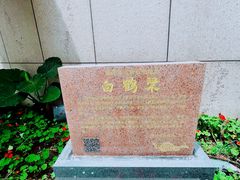 -白鹤梁水下博物馆