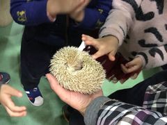 -藦茜花园宠物主题亲子互动体验馆(国顺东路店)